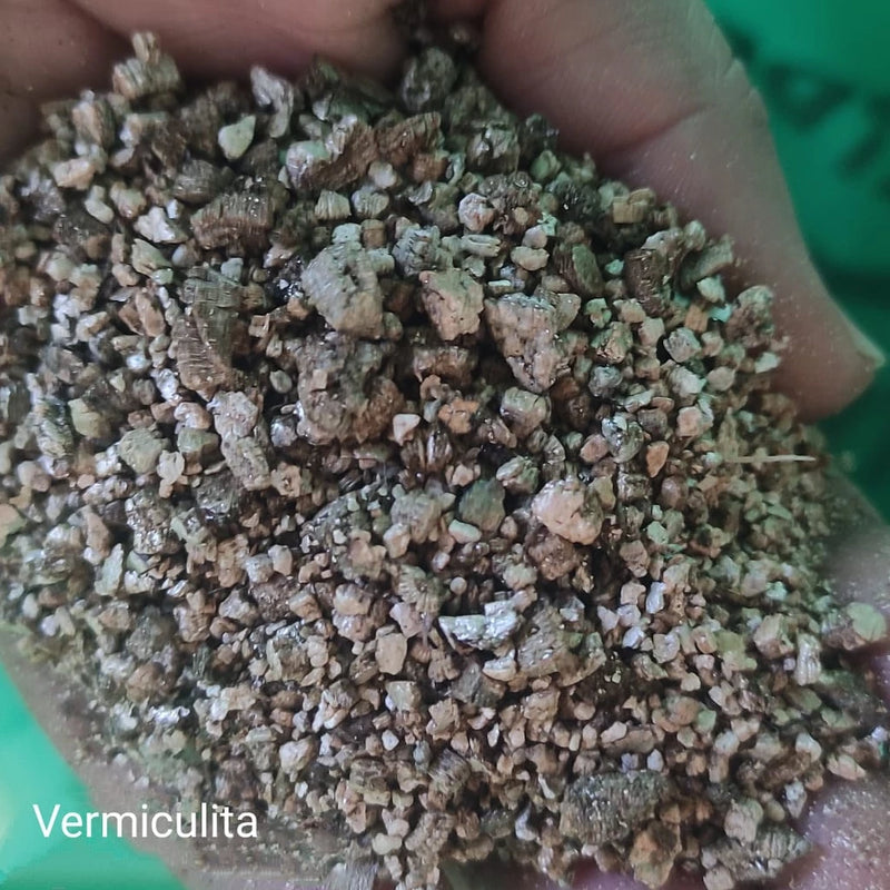 Substrato (Turfa, Perlita, Vermiculita, Carolina Soil e Palha de Arroz)
