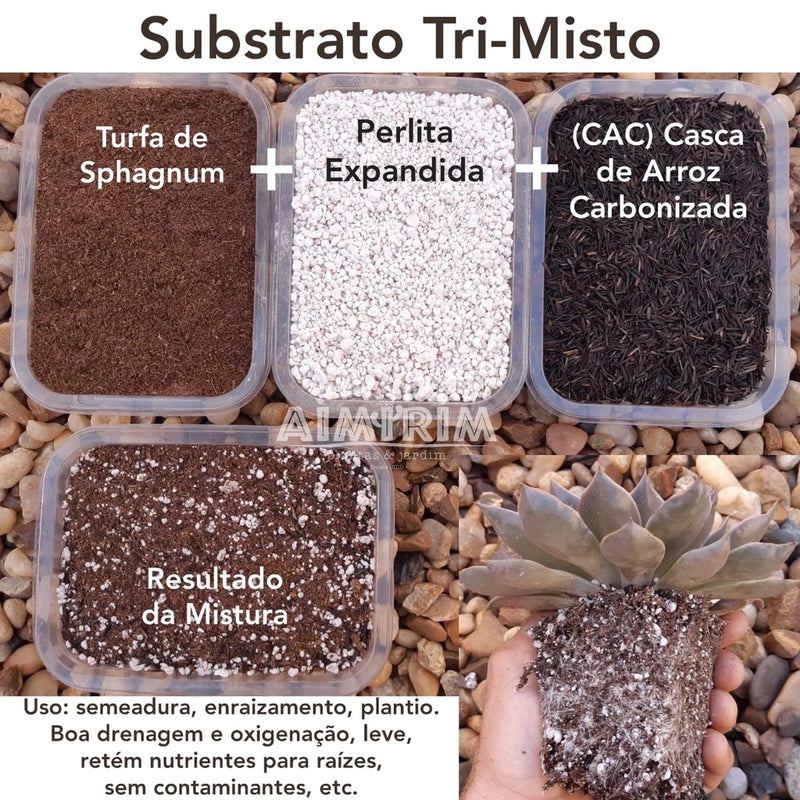 10 Litros Substrato Misto: Turfa, Perlita E Casca de Arroz Carbonizada